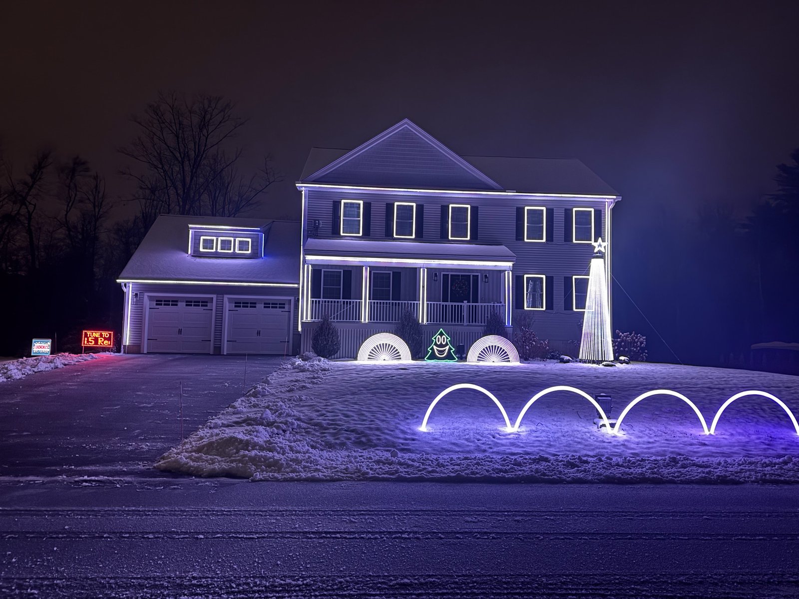 Building Your First MegaTree: Breaking Down the Decisions